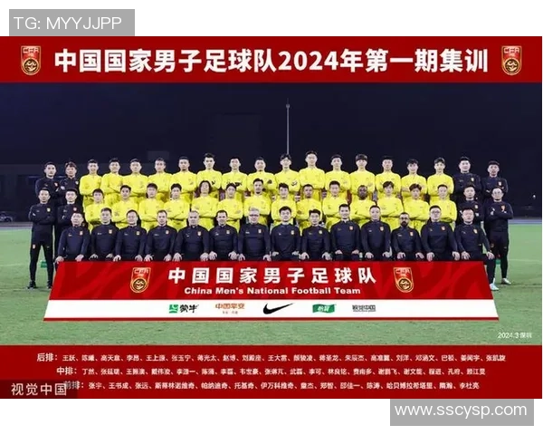 新加坡西部足球明星阵容全解析及其成就回顾